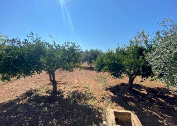 Terreno edificabile via Frassino, Terrasini - foto 6