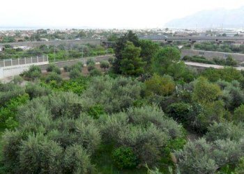 Four-room apartment corso Italia, Carini - photo 4