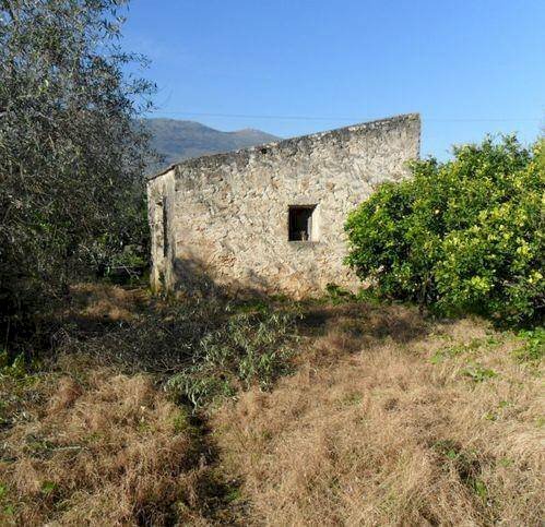 Terreno agricolo via Provinciale, Carini - foto 1