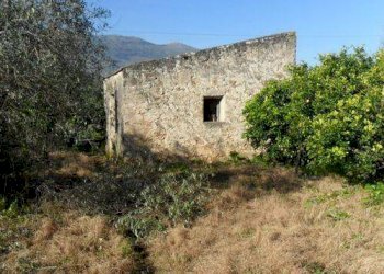 Terreno agricolo via Provinciale, Carini - foto 1