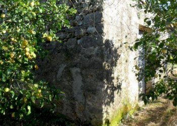 Terreno agricolo via Provinciale, Carini - foto 8