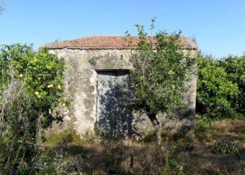 Terreno agricolo via Provinciale, Carini - foto 9