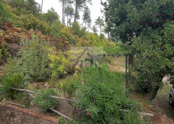 rustico-lusso-lucca_57.jpg - Rustico di ronchi, Capannori - foto 22