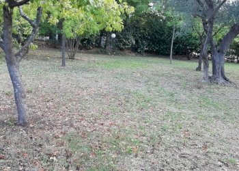 IMG_20211007_134059.jpg - Villa Via Francesco Masciangelo, Lanciano - foto 25