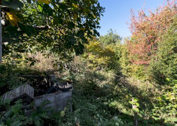 Casa semi indipendente Via Bricco Margaria, 43, Barge - foto 24