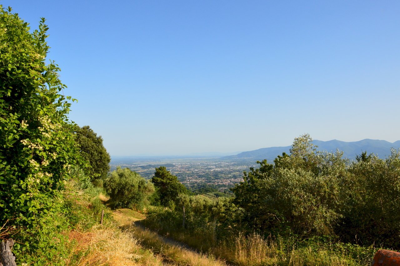 DSC_0063.JPG - Villa Via della Chiesa XXIV, Capannori - foto 1