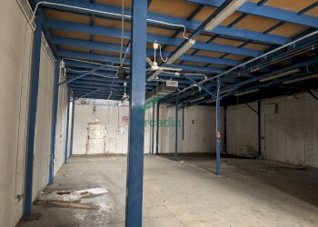 dettagli - Locale Commerciale SP231 KM 3, 800, Bitonto - foto 4