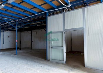 magazzino - Locale Commerciale SP231 KM 3, 800, Bitonto - foto 9