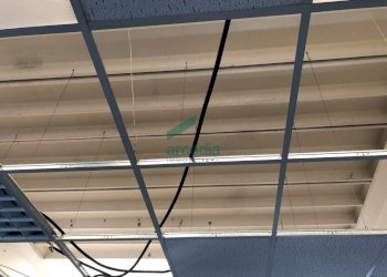 dettagli - Locale Commerciale SP231 KM 3, 800, Bitonto - foto 12