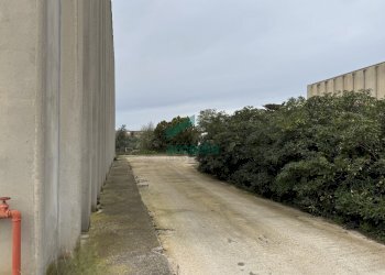 terreno - Locale Commerciale SP231 KM 3, 800, Bitonto - foto 14