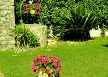 24.jpg - Villa a Schiera Via Olmarello, Castelnuovo Magra - foto 24