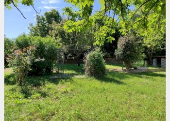 Casa semi indipendente Isola d'Asti - foto 4