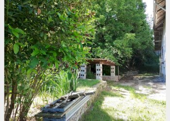 Casa semi indipendente Isola d'Asti - foto 5