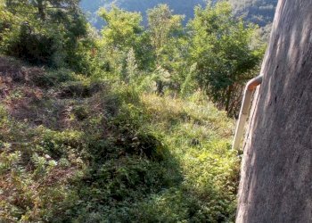 IMG-20210923-WA0023.jpg - Casa semi indipendente Fosdinovo - foto 4