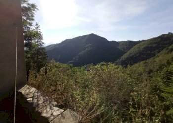 IMG-20210923-WA0018.jpg - Casa semi indipendente Fosdinovo - foto 12