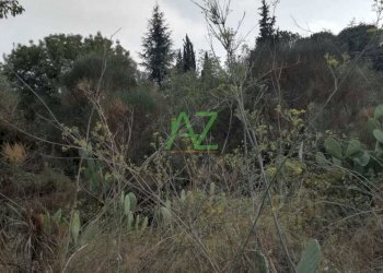 330918f8-d5eb-48ca-859f-b34d486d7677.jpg - Terreno edificabile Mascalucia - foto 3