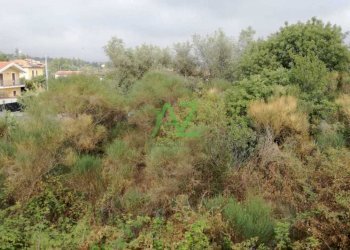 a161d4d1-f1a5-4bb9-95c5-d6530889b9ec.jpg - Terreno edificabile Mascalucia - foto 4