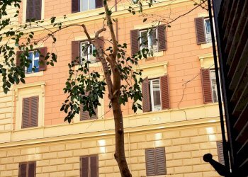 AFFACCIO - Magazzino via dei Gracchi, Roma - foto 12