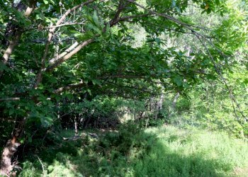 IMG_9672.JPG - Rustico Unnamed Road 13b, Sassello - foto 9