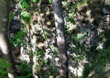 IMG_9673.JPG - Rustico Unnamed Road 13b, Sassello - foto 10