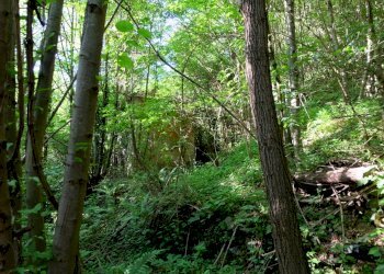 IMG_9689.JPG - Rustico Unnamed Road 13b, Sassello - foto 15