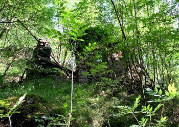 IMG_9683.JPG - Rustico Unnamed Road 13b, Sassello - foto 16