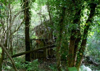 IMG_9684.JPG - Rustico Unnamed Road 13b, Sassello - foto 17