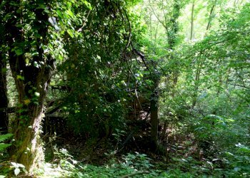 IMG_9685.JPG - Rustico Unnamed Road 13b, Sassello - foto 18