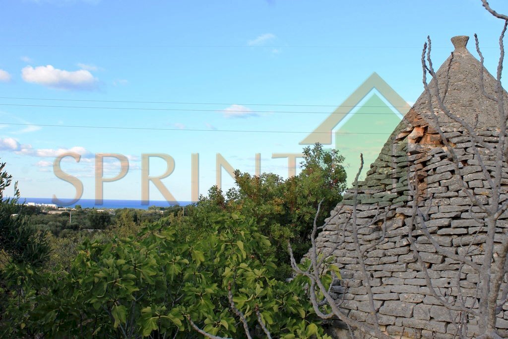 immagine-principale.jpg - Magazzino C.da Sant'Oceano, Monopoli - foto 2