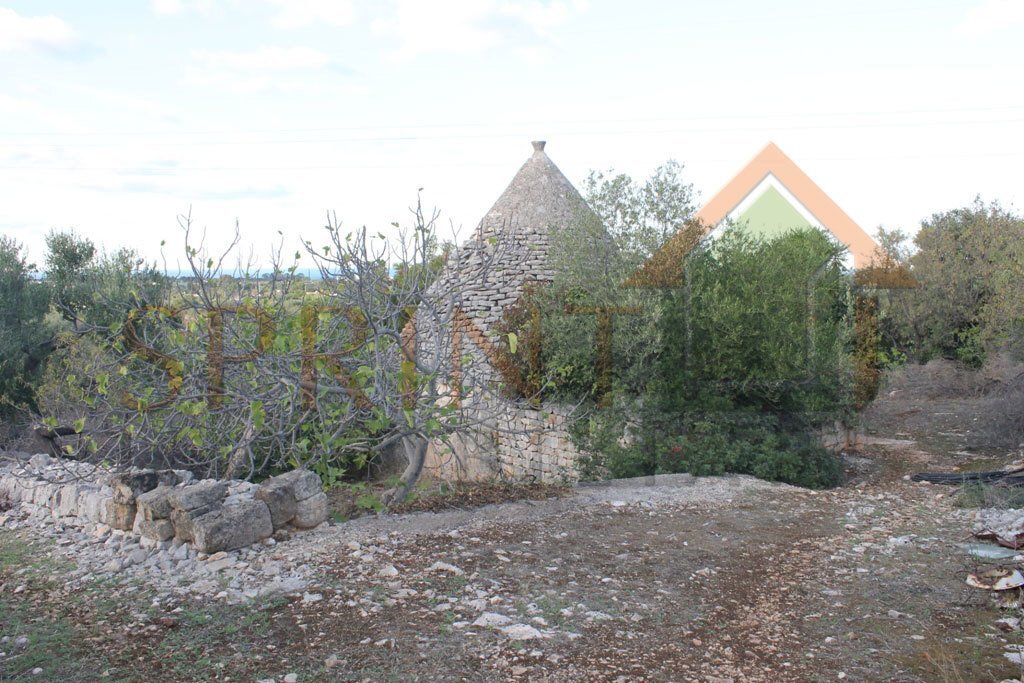 IMG_8785.JPG - Magazzino C.da Sant'Oceano, Monopoli - foto 3