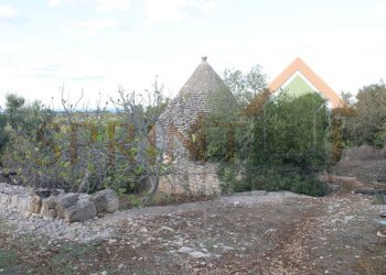 IMG_8785.JPG - Magazzino C.da Sant'Oceano, Monopoli - foto 3