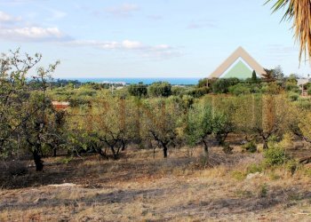 IMG_8791.JPG - Magazzino C.da Sant'Oceano, Monopoli - foto 5