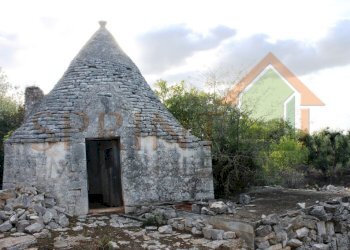 IMG_8799.JPG - Magazzino C.da Sant'Oceano, Monopoli - foto 8