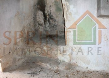 IMG_8800.JPG - Magazzino C.da Sant'Oceano, Monopoli - foto 9