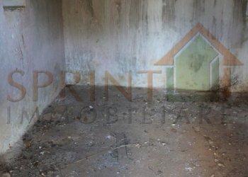 IMG_8804.JPG - Magazzino C.da Sant'Oceano, Monopoli - foto 10