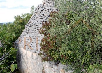 IMG_8814.JPG - Magazzino C.da Sant'Oceano, Monopoli - foto 15