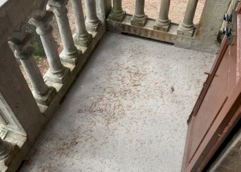 balcone - Appartamento Reggio nell'Emilia - foto 5
