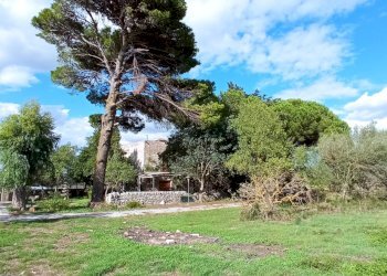 IMG_20211011_152148.jpg - Villa SP25, Ragusa - photo 28