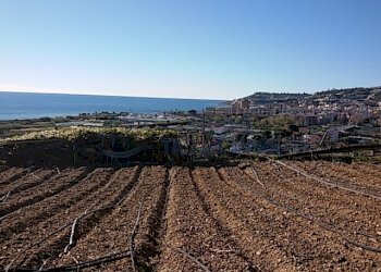 Terreno con progetto (14).JPG - Terreno edificabile Via Castello 13, Riva Ligure - foto 11