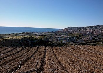 Terreno con progetto (15).JPG - Terreno edificabile Via Castello 13, Riva Ligure - foto 12