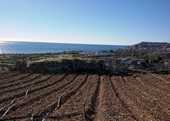 Terreno con progetto (16).JPG - Terreno edificabile Via Castello 13, Riva Ligure - foto 13