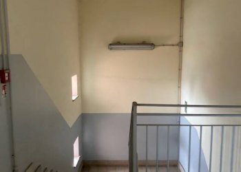 Stable - Palace Pinerolo - photo 12