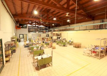 Capannone Via Circonvallazione, 32, Rossana - foto 12