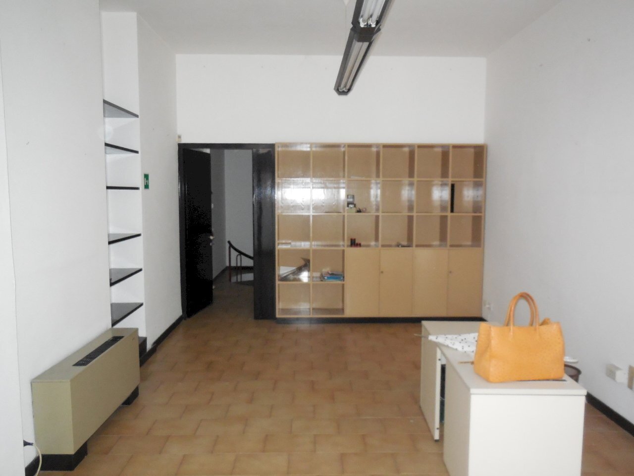 affitto_capannone_carrara_99093705585879721.jpg - Locale Commerciale Viale G. Puccini, Lucca - foto 3