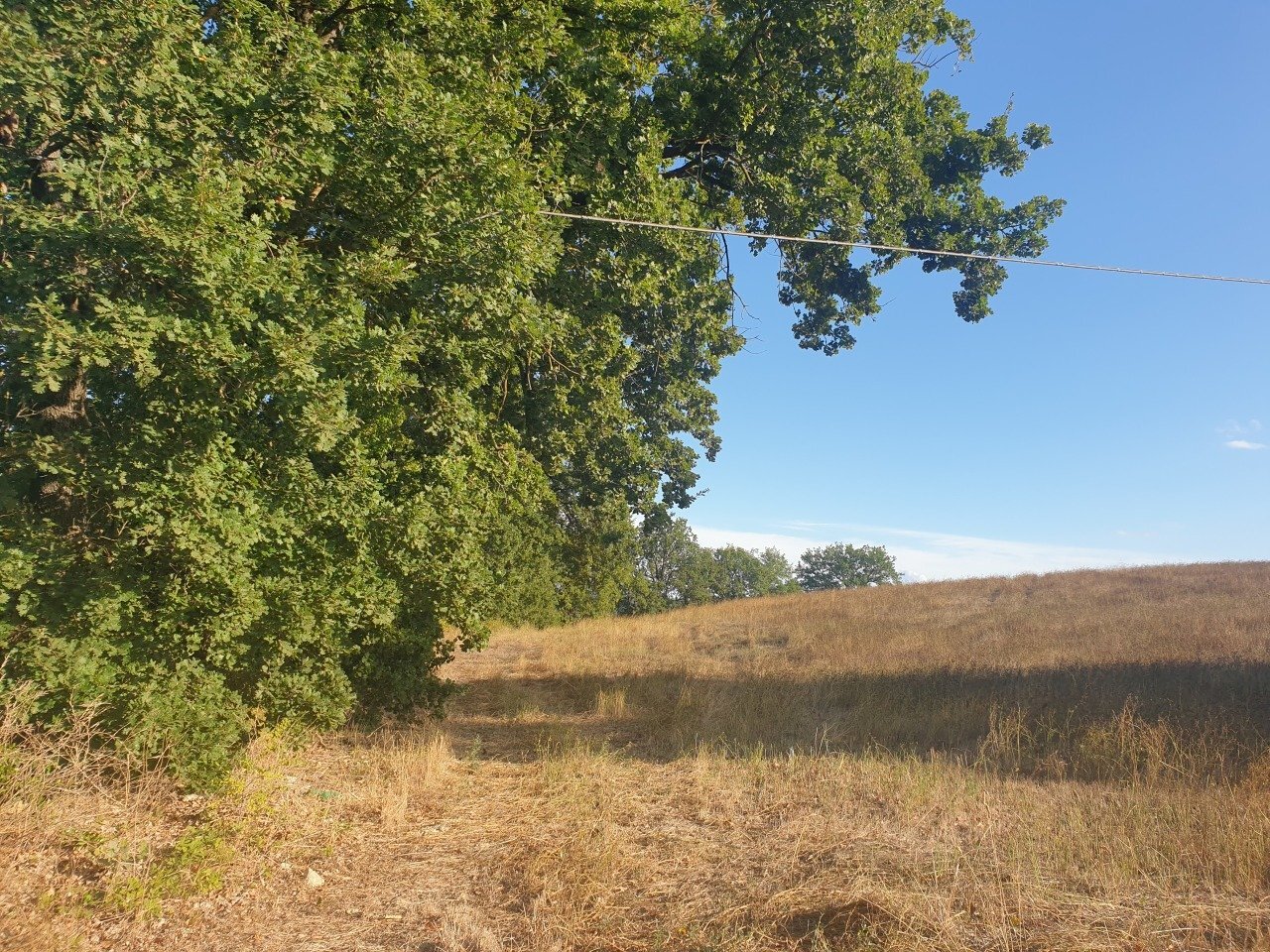 20211005_165647.jpg - Terreno agricolo Lugnano in Teverina - foto 2