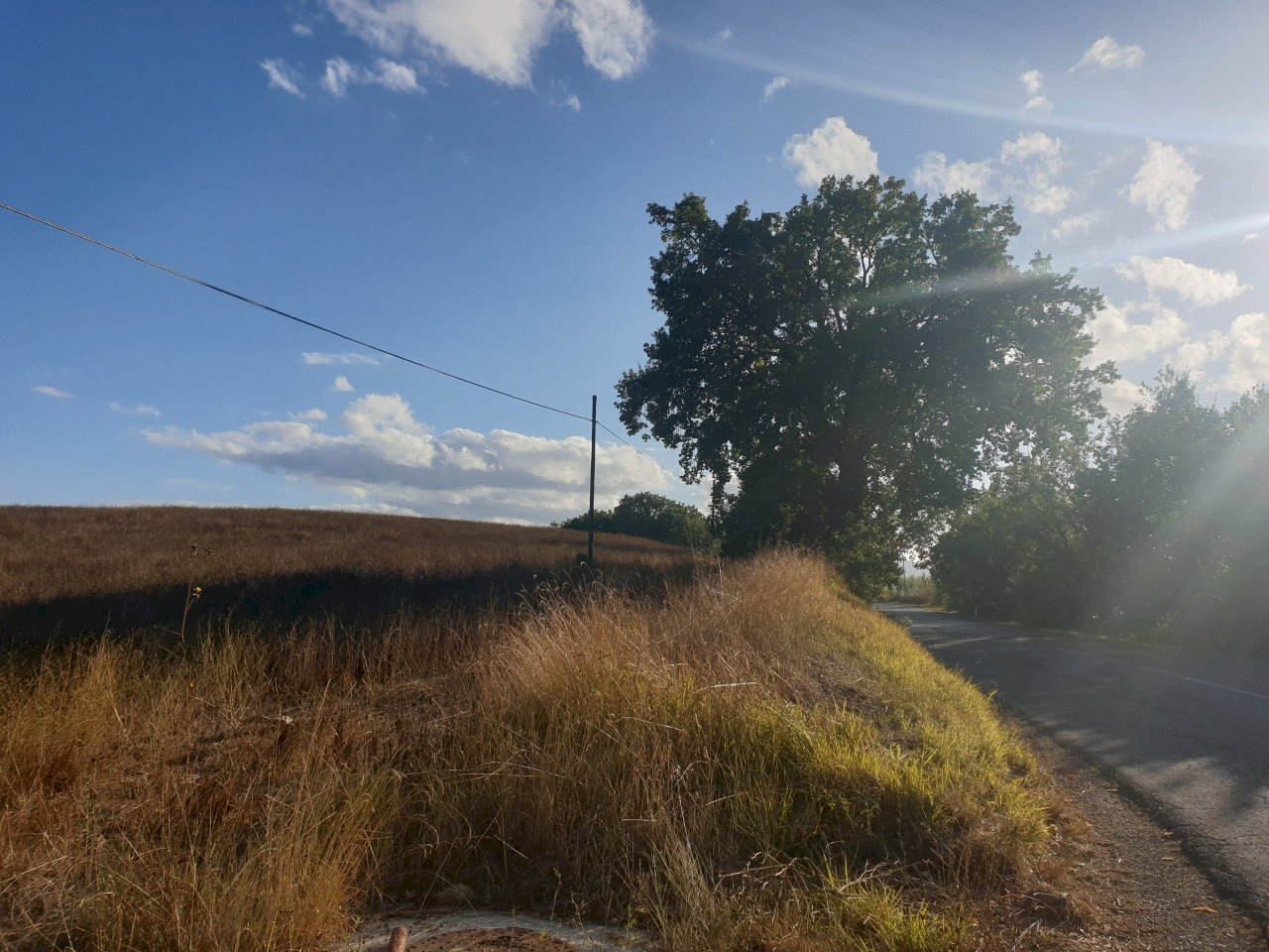 20211005_165652.jpg - Terreno agricolo Lugnano in Teverina - foto 3