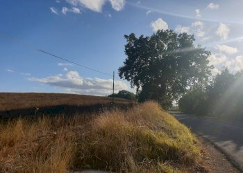 20211005_165652.jpg - Terreno agricolo Lugnano in Teverina - foto 3
