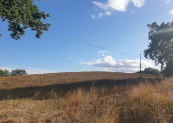 20211005_165653.jpg - Terreno agricolo Lugnano in Teverina - foto 4