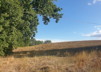 20211005_165655.jpg - Terreno agricolo Lugnano in Teverina - foto 5