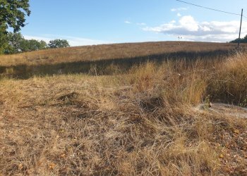 20211005_165659.jpg - Terreno agricolo Lugnano in Teverina - foto 6